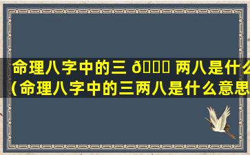 命理八字中的三 🐎 两八是什么（命理八字中的三两八是什么意思）